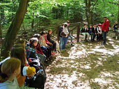 4d Góry Świętkorzyskie maj 2022 (7)